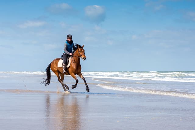 Parc équestre de Le Touquet Paris Plage